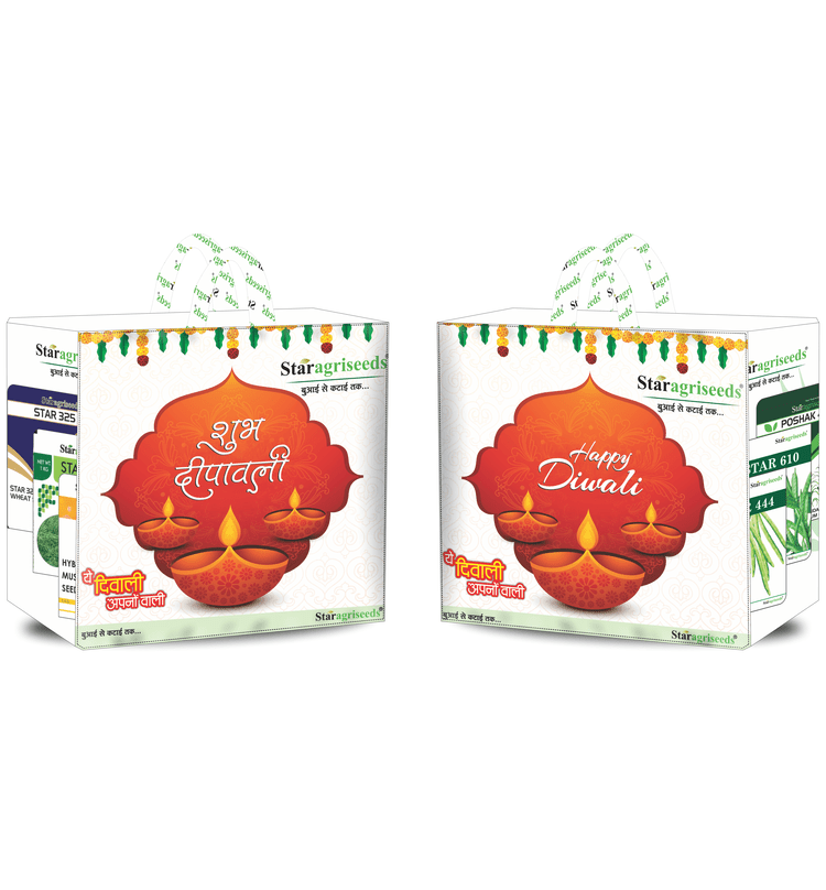 Star Agri Diwali Bag 3d